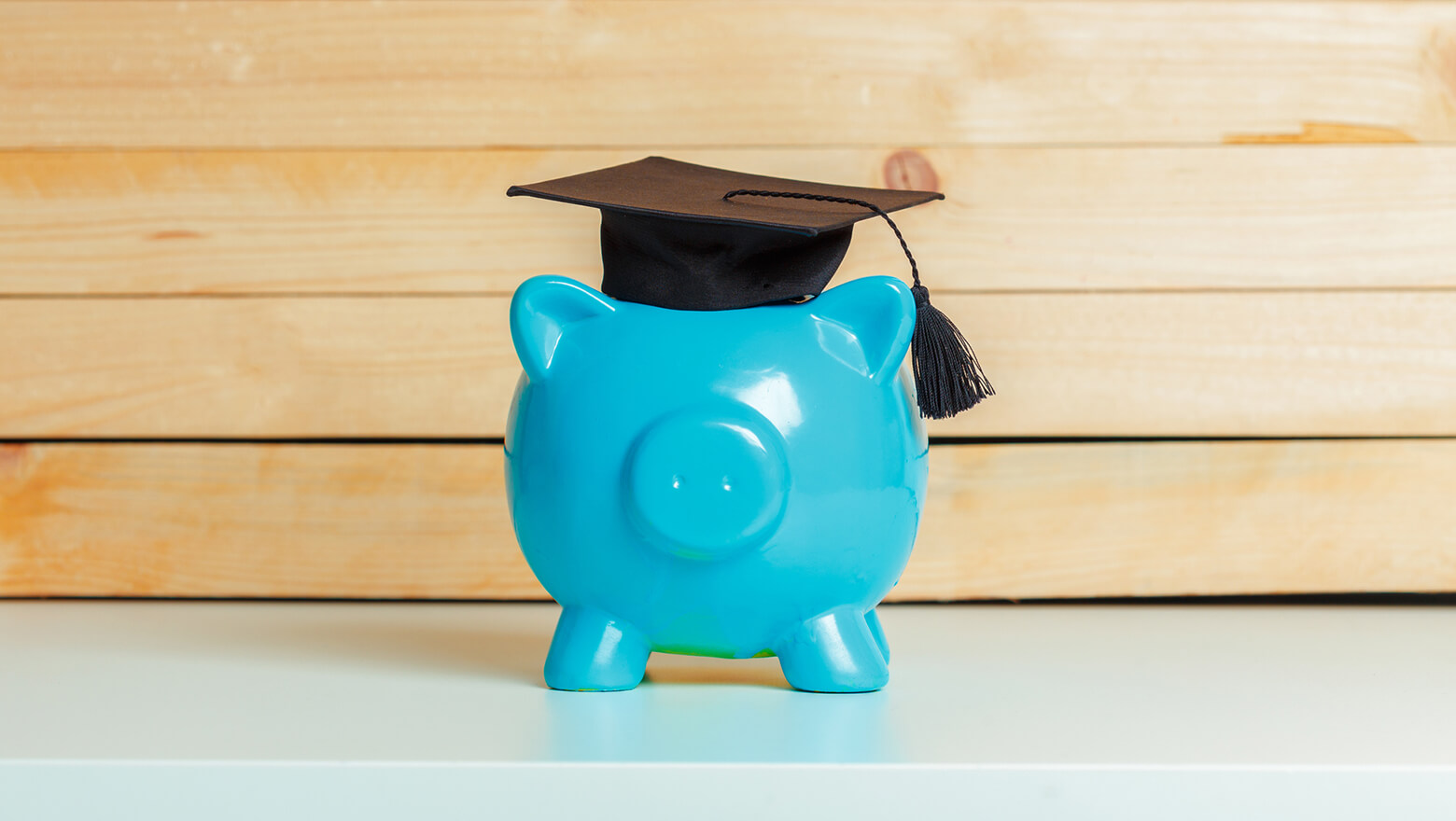 blue piggy bank with grad cap