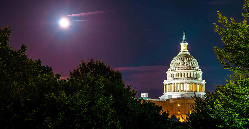 Capitol in Washington, DC