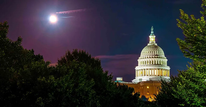 Capitol in Washington, DC