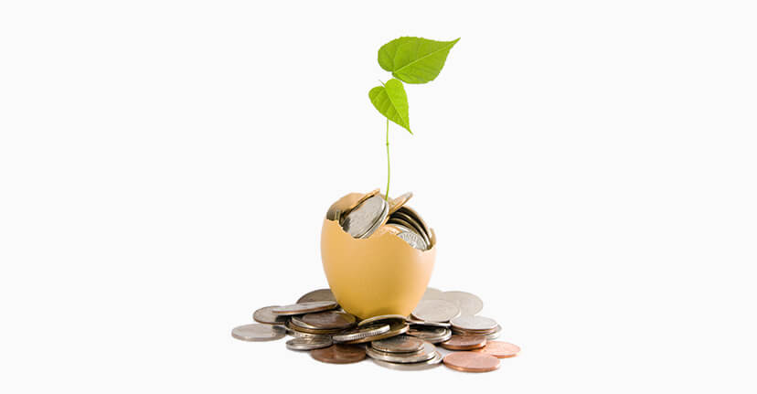 plant growing from egg with coins